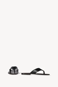 Dan Flip Flop